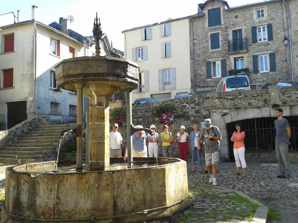 Gite "Les Hortensias" Au Coeur De Lacaune Buitenkant foto